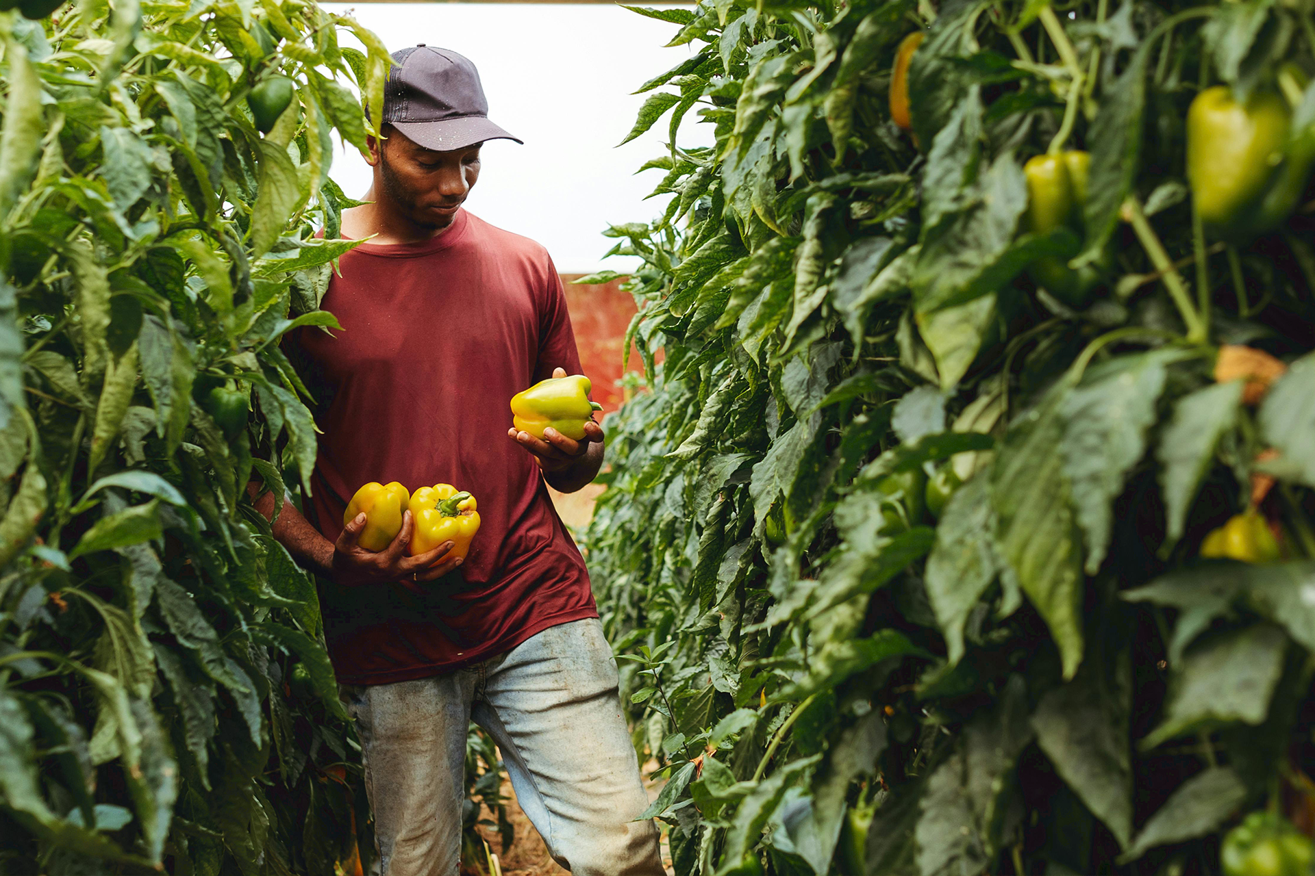 Business planning and strategy session